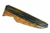 Polished Tiger's Eye Section - South Africa #148287-2